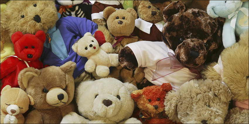 teddy bear lot